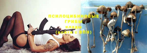 меф Инсар
