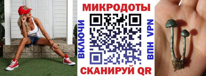 Галлюциногенные грибы GOLDEN TEACHER  Купить где  Усть-Лабинск 